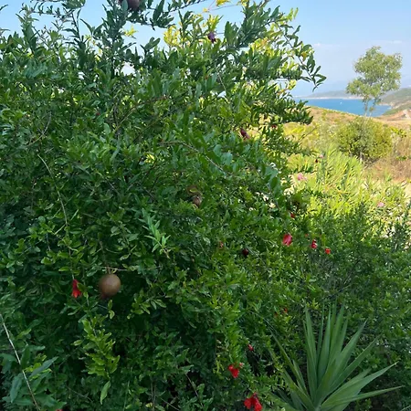 Serenity Villa With Private Pool - Cape Of Rodon *