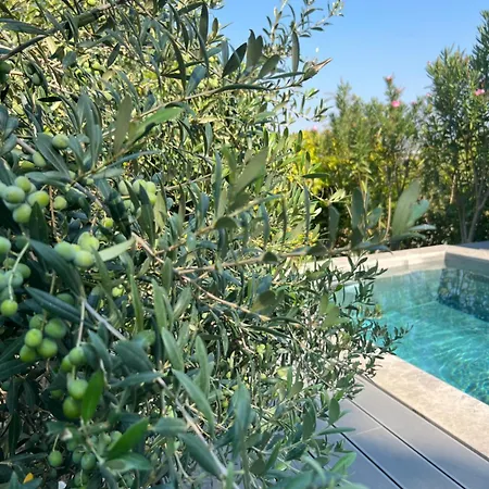 Serenity Villa With Private Pool - Cape Of Rodon Shetaj